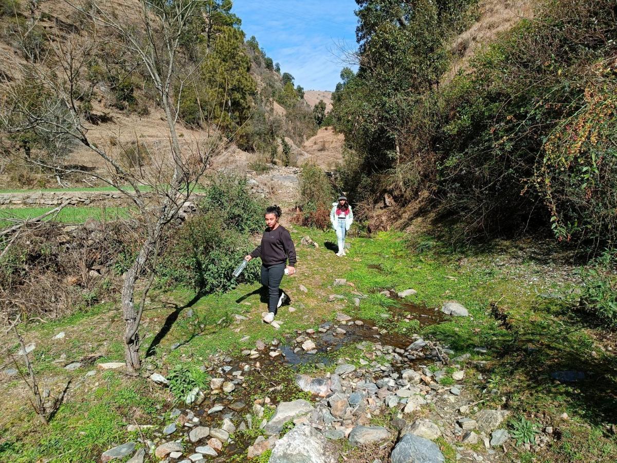 Skywood Resort Shoghi Shogi Εξωτερικό φωτογραφία
