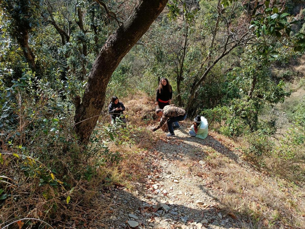 Skywood Resort Shoghi Shogi Εξωτερικό φωτογραφία