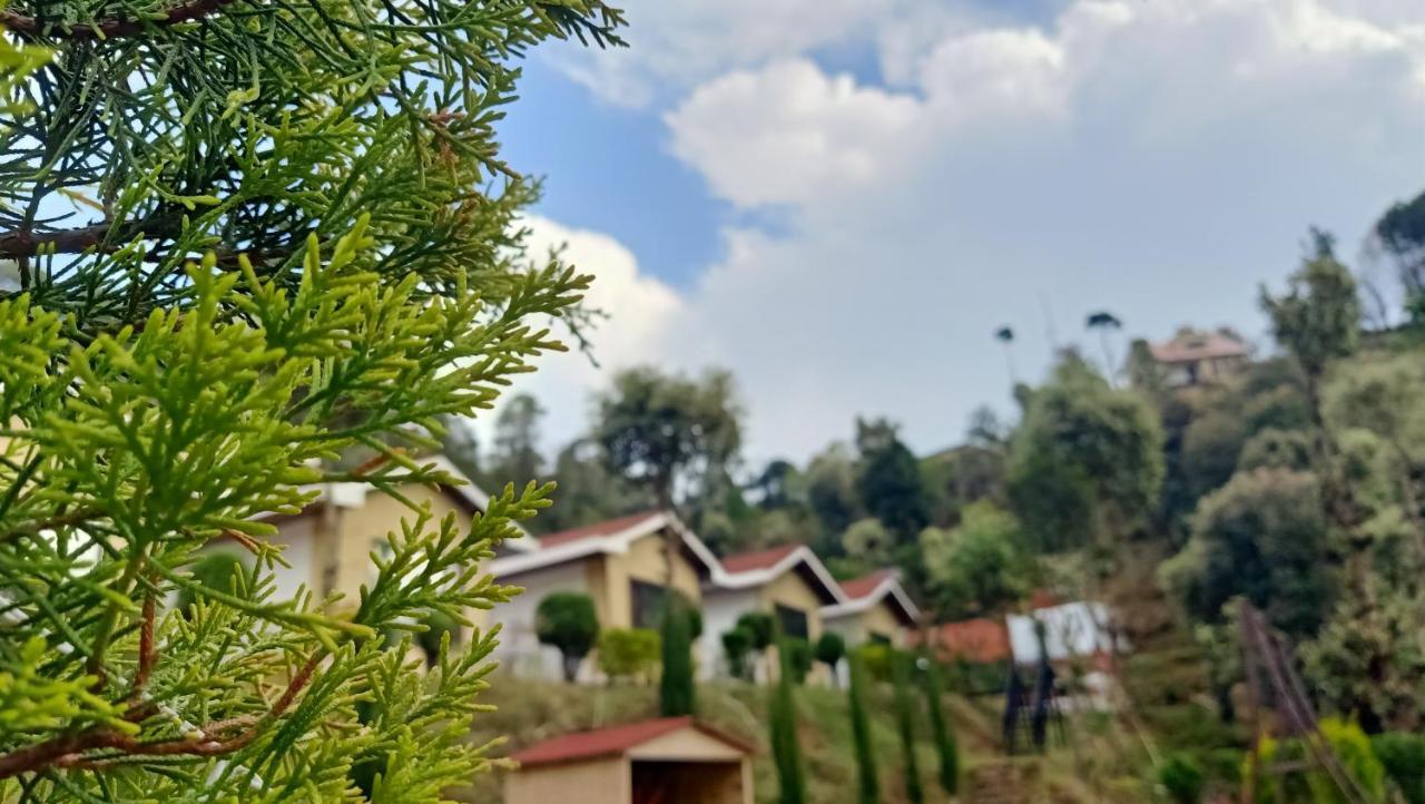 Skywood Resort Shoghi Shogi Εξωτερικό φωτογραφία